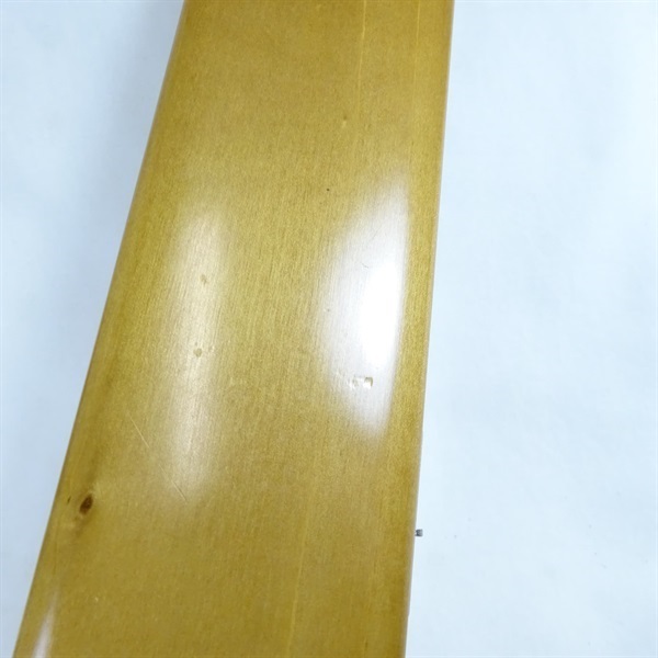 金鯱 へら浮きケース 4列